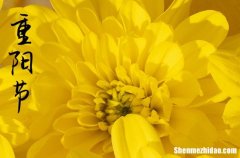 2024年重陽節(jié)微信短信祝福語大全重陽節(jié)朋友圈短信祝福語100句