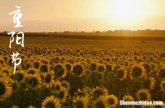 九九重陽節(jié)祝福語熱門推薦 重陽節(jié)送客戶的祝福短信2024