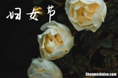 3.8婦女節(jié)祝福語大全2024三八節(jié)祝福語漂亮簡短