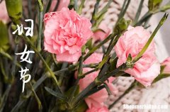 2024公司送女同事的3.8婦女節(jié)祝福微信大全