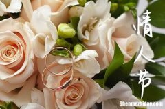 2024情人節(jié)微信祝福語大全情人節(jié)的祝福語大全