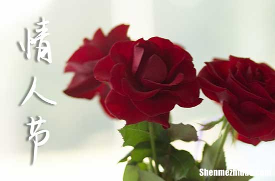 2024情人節(jié)溫馨祝福語簡短情人節(jié)祝福語最溫馨的話