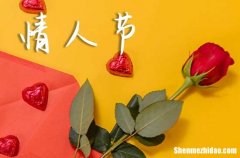 2024情人節(jié)給女朋友的浪漫告白句子精選情人節(jié)幽默短信文案