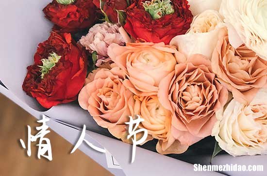 情人節(jié)祝福短信 2024年情人節(jié)浪漫祝福短信一覽