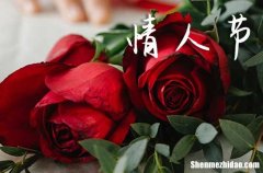 2024甜蜜情人節(jié)祝福微信 玫瑰巧克力和我都送給你好不