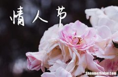 2024異地情人節(jié)祝福語(yǔ)送給異地戀情侶的祝福