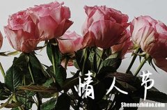 情人節(jié)賀卡祝福語(yǔ)2024情人節(jié)送花的賀卡送女朋友