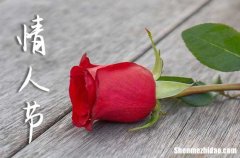 2024年必備情人節(jié)祝福語(yǔ)大全經(jīng)典情人節(jié)祝福語(yǔ)大全