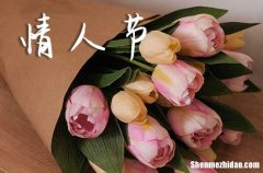 2024年推薦必備情人節(jié)祝福語集錦大全情人節(jié)祝福語大全