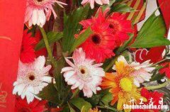 2024農(nóng)歷正月初六不是黃道日嗎 適合店鋪開(kāi)張嗎