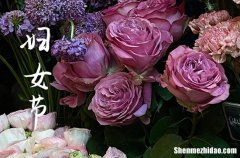 另類婦女節(jié)祝福短信2024三八婦女節(jié)創(chuàng)意祝福語微信群發(fā)與眾不同