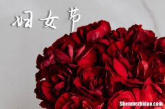 2024三八婦女節(jié)祝福語精編最新三八婦女節(jié)祝福語集錦