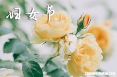 2024年三八婦女節(jié)祝福語祝福短信 婦女節(jié)短信祝福語簡短優(yōu)美