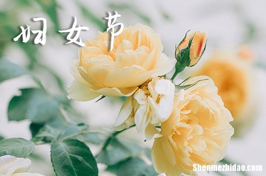 2024年三八婦女節(jié)祝福語祝福短信 婦女節(jié)短信祝福語簡短優(yōu)美