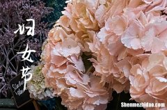 2024年三八婦女節(jié)的祝福句子 婦女節(jié)祝福語大全2024年