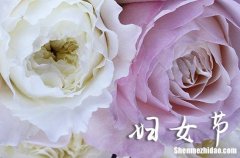 2024年三八婦女節(jié)的祝福句子 祝福婦女節(jié)的優(yōu)美句子簡短