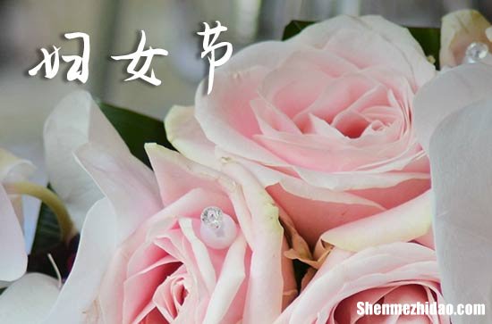 2024年妇女节祝福语最新三八妇女节祝福语