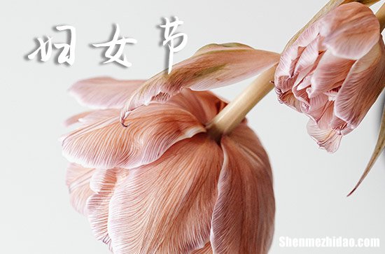 2024年3.8婦女節(jié)qq祝福語(yǔ)大全祝婦女節(jié)快樂(lè)的QQ祝福語(yǔ)