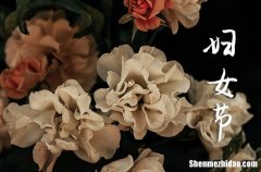 2024年婦女節(jié)祝福語(yǔ)送老師祝福婦女節(jié)的優(yōu)美句子簡(jiǎn)