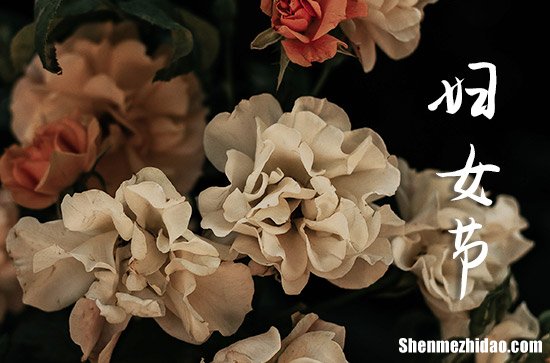 2024年婦女節(jié)祝福語送老師祝福婦女節(jié)的優(yōu)美句子簡