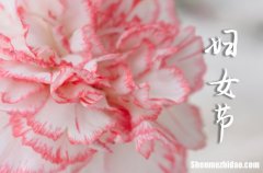 38婦女節(jié)祝福語(yǔ)賀詞2024三八婦女節(jié)祝福語(yǔ)大全賀詞祝福語(yǔ)