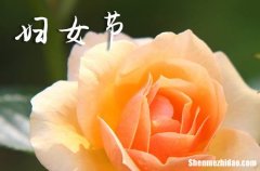 2024給媽媽的三八婦女節(jié)祝福語三八婦女節(jié)給媽媽的祝福語