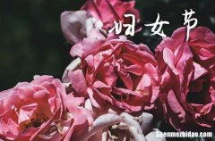 祝福語大全：關(guān)于2024年婦女節(jié)暖心寄語祝女神的祝福語大全
