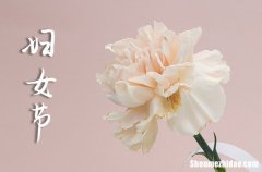 2024三八婦女節(jié)祝福微信婦女節(jié)微信祝福語簡短