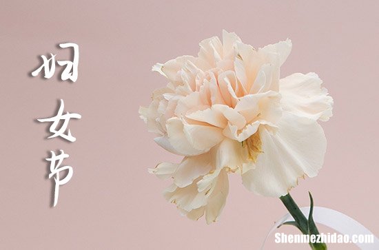 2024三八婦女節(jié)祝福微信婦女節(jié)微信祝福語(yǔ)簡(jiǎn)短