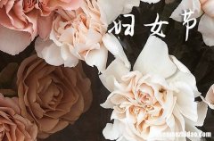 2024三八婦女節(jié)祝福語賀詞三八婦女節(jié)祝福語大全賀詞祝福語