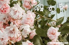 三八婦女節(jié)祝福語短信2024女性祝福語簡短優(yōu)美