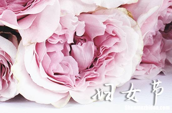 三八婦女節(jié)快樂祝福語微信2024 祝福婦女節(jié)的優(yōu)美句子簡短