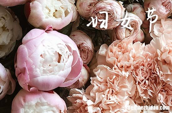 3.8妇女节祝福语短信2024三八节祝福语漂亮简短