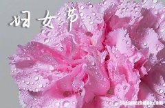 3.8婦女節(jié)祝福語2024 祝女神的祝福語大全