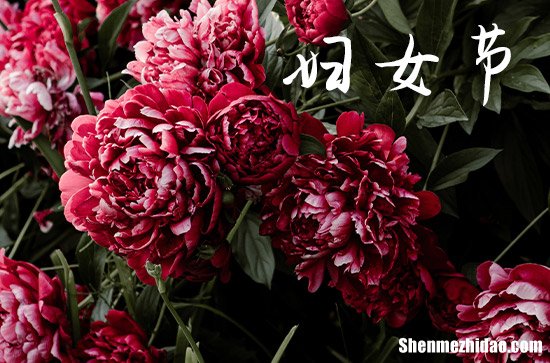 給媽媽的三八婦女節(jié)祝福語微信2024母親節(jié)暖心短句八個字