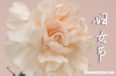 2024三八婦女節(jié)祝福語三八婦女節(jié)的佳句