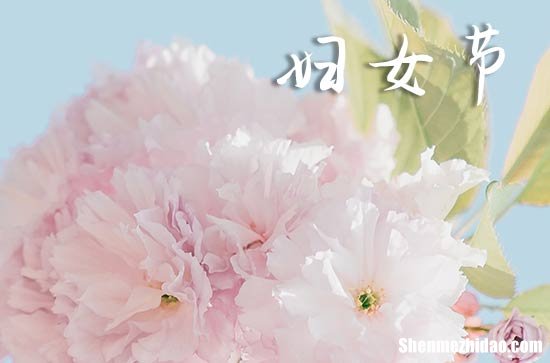 關于2024婦女節(jié)祝福語祝美女永遠年輕漂亮的祝福語