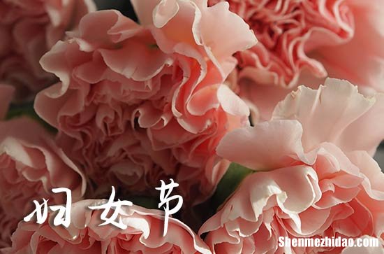婦女節(jié)祝福語大全2024年 女性祝福語簡短優(yōu)美