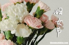 婦女節(jié)祝福語2024女性氣質(zhì)優(yōu)雅的祝福語