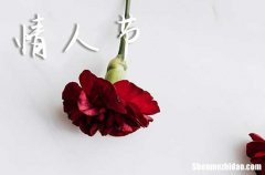 2024有關(guān)情人節(jié)的祝福語句送女朋友最打動人心的祝福語