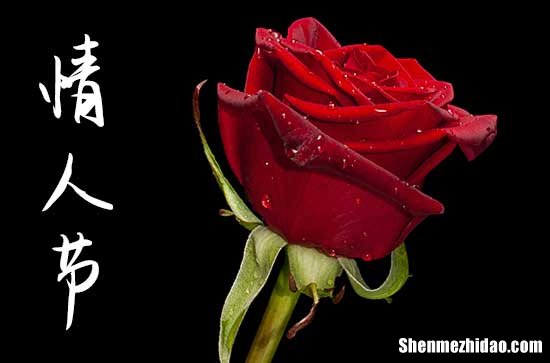 2024祝情人節(jié)快樂(lè)說(shuō)說(shuō) 情人節(jié)快樂(lè)祝福語(yǔ)
