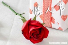 2024情人節(jié)第一眼就心動的文案 簡介2024情人節(jié)第一眼就心動的文案