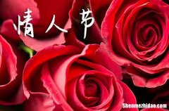 2024情人節(jié)祝福語(yǔ)微信 2024情人節(jié)溫馨祝福語(yǔ)