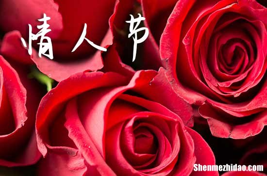 2024情人節(jié)祝福語微信 2024情人節(jié)溫馨祝福語