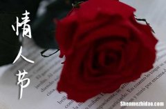 2024情人节异地恋的表白祝福语大全 异地恋的情人节祝福