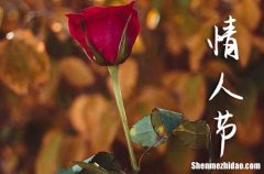 最新2024情人節(jié)朋友圈高贊示例 2024最新愛(ài)情文藝說(shuō)說(shuō)有哪些