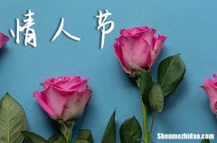 2024情人節(jié)幽默短信情人節(jié)幽默短信文案