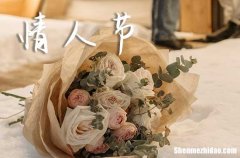 2024情人節(jié)祝愿的話語情人節(jié)溫馨的表白句子