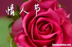 2024情人節(jié)微信大全適合情人節(jié)的微信句子