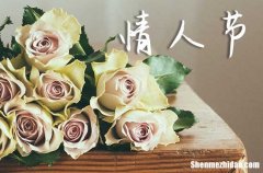 2024年情人節(jié)短信：情人節(jié)送給女友的祝福語(yǔ)